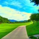 조원관광진흥(주) 이미지