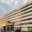 [속초]오징어난전부터 모녀가리비까지 속초 당일치기 여행 즐기고 온 후기 (일정, 가격)