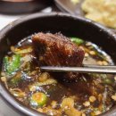 돼지도온