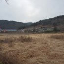 판문동5 이미지