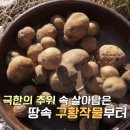 서울오케이내과의원 이미지