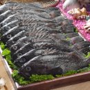 신안우럭 이미지