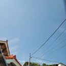 인셀덤리브레