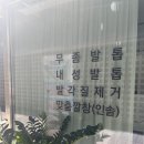 [춘천 문제성발관리] "하이푸스 춘천온의점" 무좀발톱 관리 후기