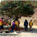 우물가 쉼터 이미지