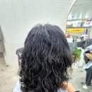 난이꾸꾸 애견미용실 | 강동 성내동미용실 추천 슬릭컷·커트 잘하는 곳, 원장 1:1 시술 듀무드룸 후기 (애견동반가능)