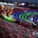 보성녹차닷컴 이미지