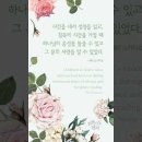 오늘의 '신앙 명언'(228강) 제리 스캐지로(Geri Scazzero) 이미지