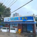 설악약국 | 찾아서 뚜벅이 여행, 88 생선구이, 캔싱턴 리조트 설악밸리 루체른, 신유네 회포장, 오션뷰 카페 셜터...