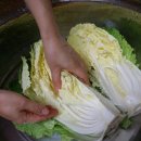 배추PC 이미지