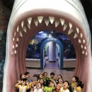 개금유치원 이미지