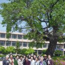 춘천여자고등학교 이미지