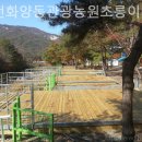 청천화양동관광농원  초롱이 캠핑장 | 괴산캠핑장 청천화양동관광농원초롱이캠핑장 캠핑장추천