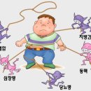 팀 터틀랫 해운대장산 이미지