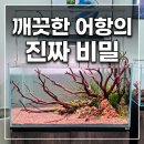 늘을1로 | 【스케이프샵 세미나, 방문 후기】 깨끗한 어항의 비밀까지까지 정리