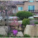 황토사랑민박 이미지