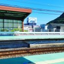 크라슈 | 도쿄 워홀 D+249~250 _ 시즈오카 1박2일 여행 (1)