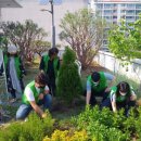 초지동 행정복지센터 이미지