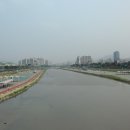 중랑천 산책로 이미지