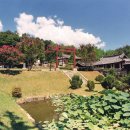 육신사(六臣祠)와 태고정(太古亭)에 깃든 위대한 대서사시 이미지
