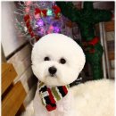 띵원 이미지