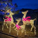 창기초등학교 이미지