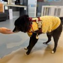 별빛쉼표 이미지