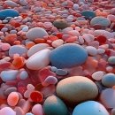 큰행복약국 이미지