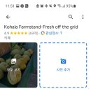팜스더프레시