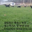 향림동산(흑염소농장) 이미지