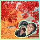 일굼 - 서귀포시 보목로 85-4 | 일굼