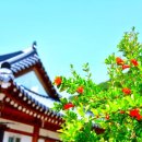 돌담한옥펜션 이미지