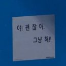 샐리웨딩천안