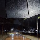 읍내양곱창