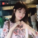 쏨카페 Daum카페
