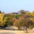 창동 무문토기 주거지 | 대구달성과 경상감영