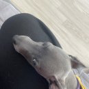 쉬는날도 바빠,,Soooo busy..