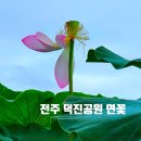 덕진동-16(덕진예술회관) 네이버블로그