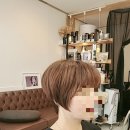 다시보다헤어살롱
