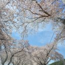 암곡마을회관 이미지