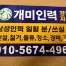 개미건설철거인력 이미지