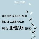 파랑새노래 Daum카페