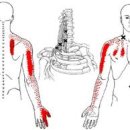 초월헬스 이미지