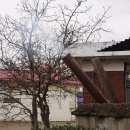 대안2리마을회관 이미지