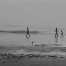 꽃지가는길 이미지