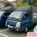 문학동항아리화분