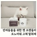 슬기로운 과학실험 | 강아지 고체탈취제 추천 비건인증 받은 모노아워