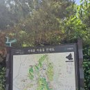 안산자락길 | [서울 서대문구/등산] 밥 먹고 걷기 딱 좋은 서울 낮은 산! '안산자락길' 눈 호강 힐링 등반 후기