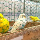 초록미소마을 이미지