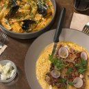 한스 강아지방 이미지